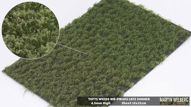 Tufts weeds 4.5mm late summer