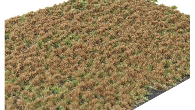 Layered Tufts 2-2mm golden summer