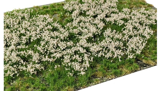 Layered Tufts Flowers Sand