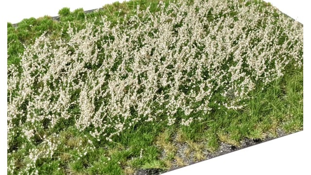 Layered Tufts Flowers Sand