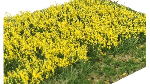 Layered Tufts Flowers Yellow