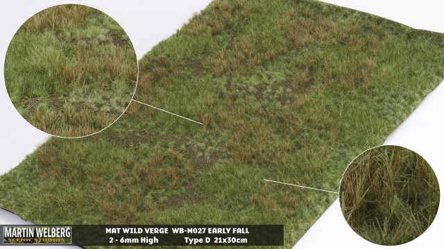 Wild Verge D early fall