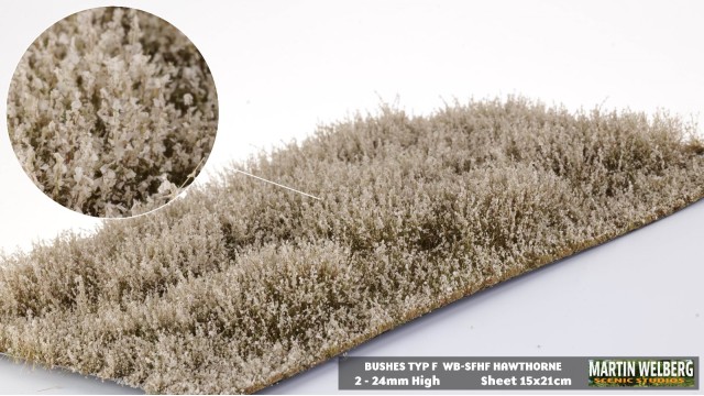 Bushes type F Hawthorne