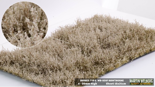 Bushes type E Hawthorne