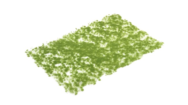 Tufts early spring 2 mm