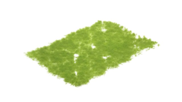 Tufts early spring 4 mm