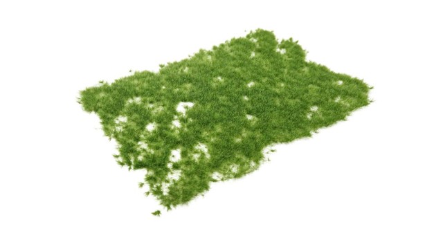 Tufts late spring 4 mm