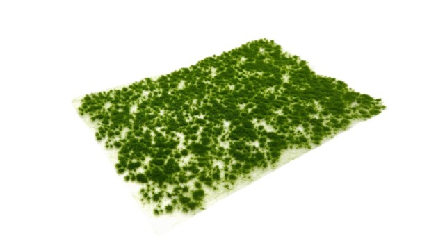 Tufts early summer 2 mm