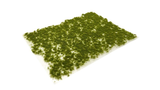 Tufts late summer 2 mm