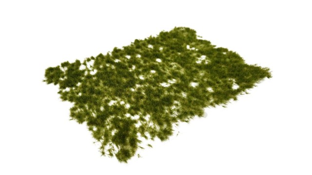 Tufts late summer 4 mm