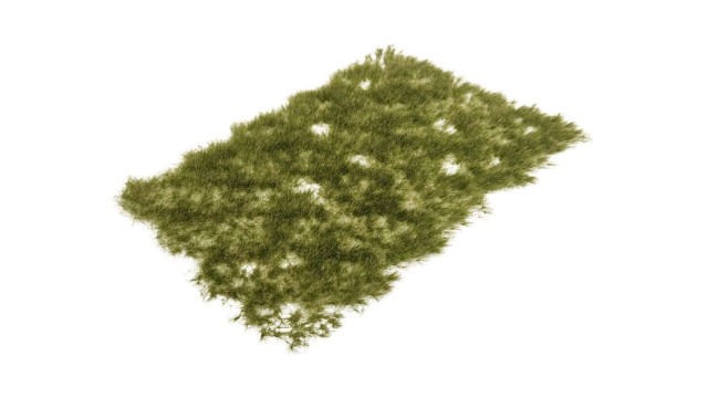 Tufts late summer 6 mm