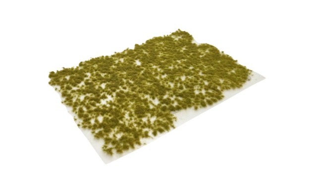 Tufts early autumn 2 mm