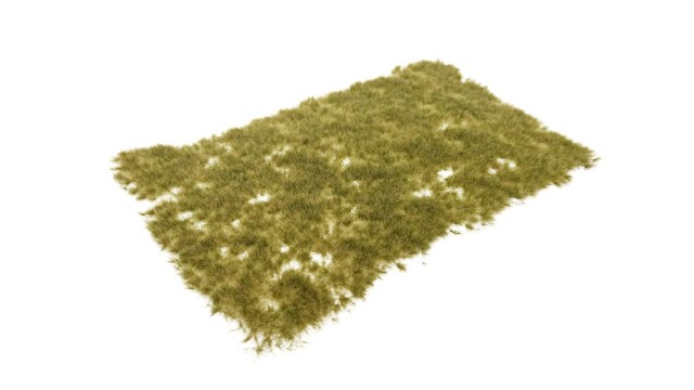 Tufts early autumn 4 mm