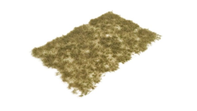 Tufts early autumn 6 mm