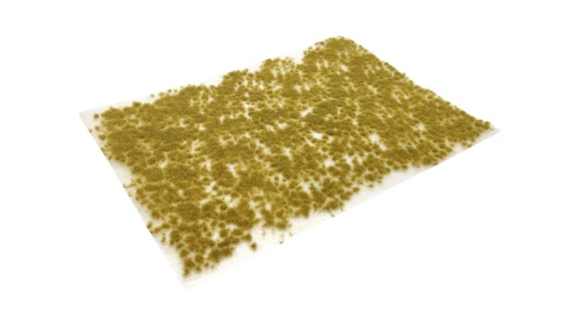 Tufts late autumn 2 mm