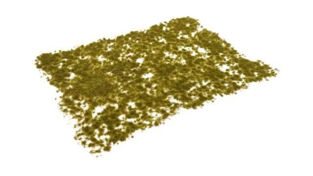 Tufts early winter 2 mm