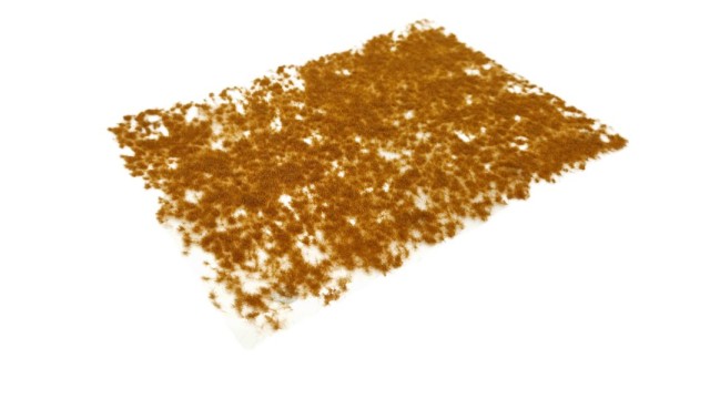 Tufts late winter 2 mm