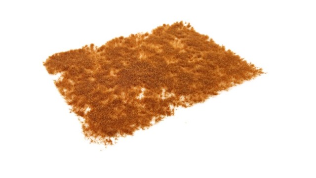 Tufts late winter 4 mm