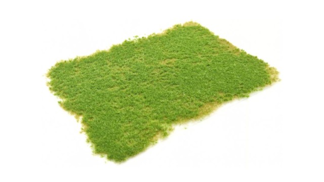 Tufts pasture spring 2 mm