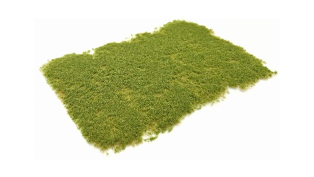 Tufts pasture summer 2 mm