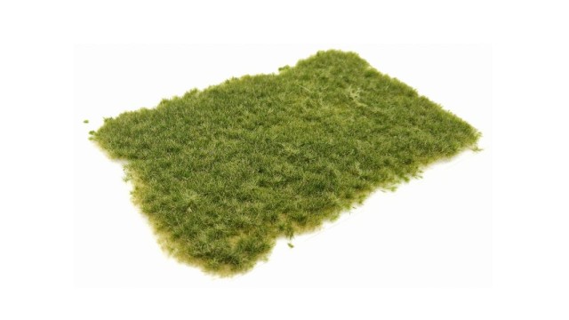 Tufts pasture summer 4 mm