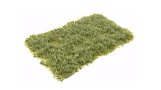 Tufts pasture summer 6 mm