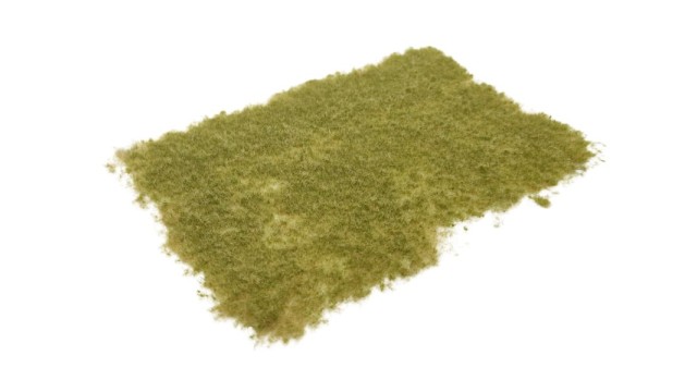 Tufts pasture autumn 2 mm