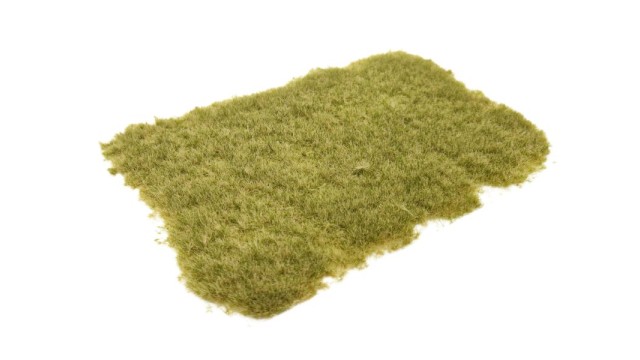 Tufts pasture autumn 4 mm