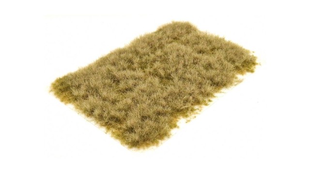 Tufts pasture autumn 6 mm