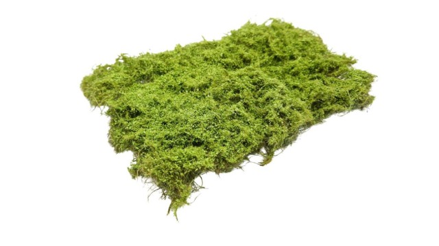 Briar Patch - light green 10-20 mm