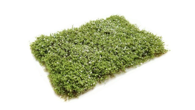 Dog rose alba 10-20 mm