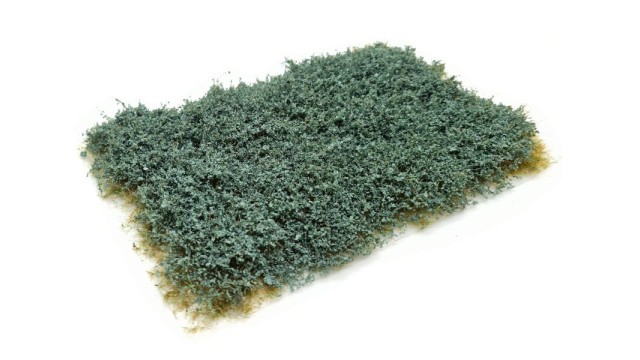 Sea buckthorn 10-20 mm