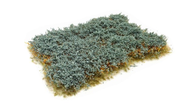 Sea buckthorn with berries 10-20 mm