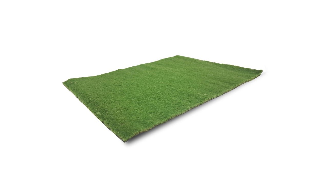 Pasture spring, short (Small)