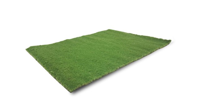 Pasture spring, short (Small)