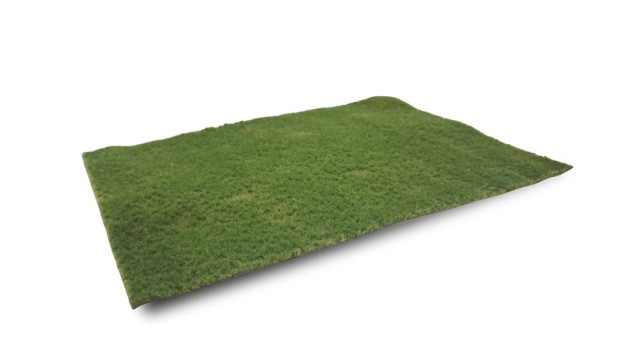 Pasture summer, short (Small)