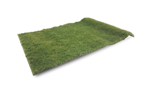 Pasture summer, long (Medium)