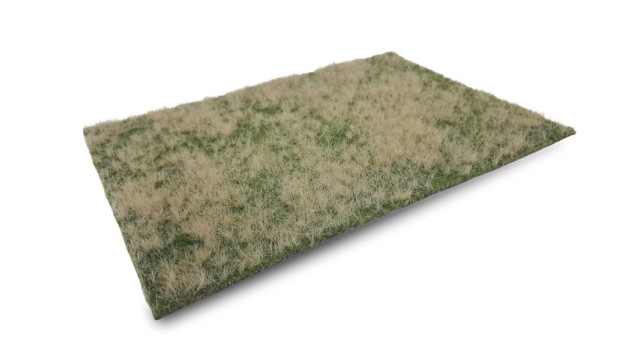 Pasture blooming summer (Small)