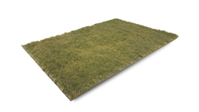 Pasture autumn, long (Medium)