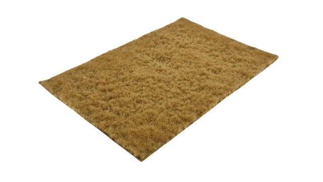 Pasture winter/dry, long (Small)