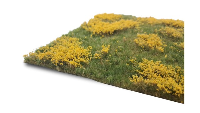 Meadow with marsh-marigolds (Large)