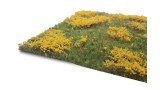 Meadow with marsh-marigolds (Small)