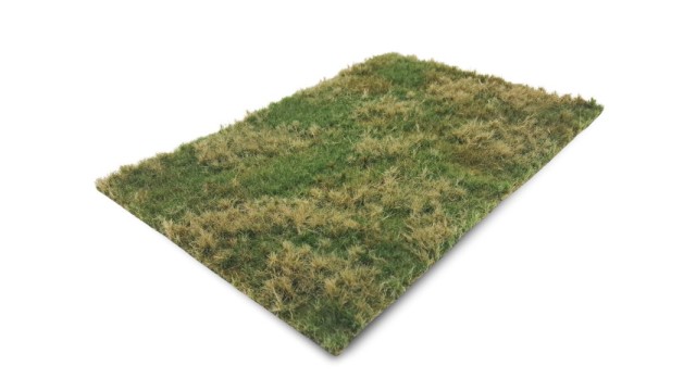 Meadow summer (Small)