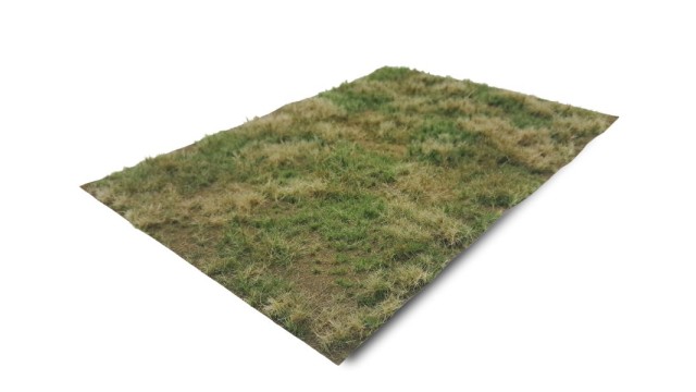 Meadow summer arid (Small)