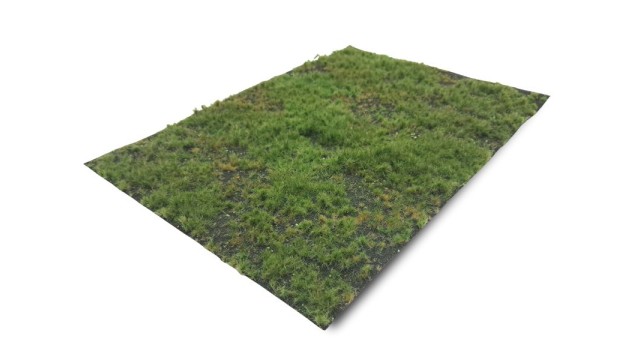 Forest floor - type 1 (Large)