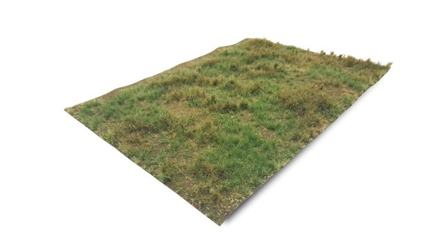 Forest floor - type 2 medium