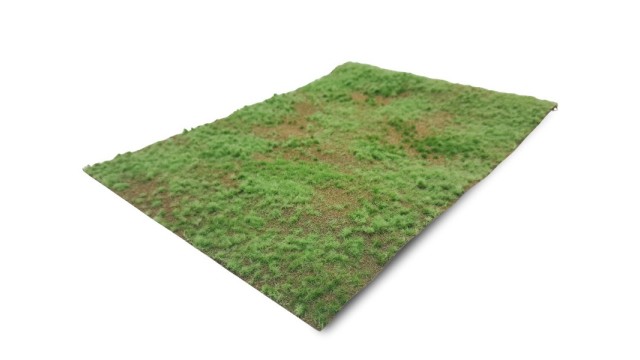 Pine forest floor - type 1 (Large)