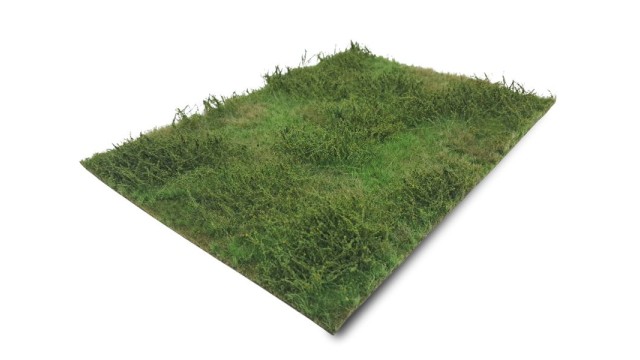 Wilde verge spring (Medium)