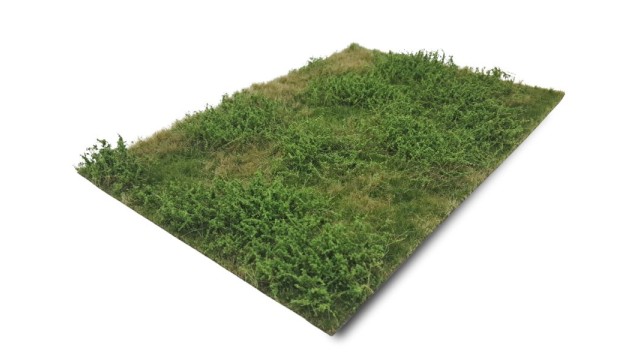 Wilde verge summer (Medium)