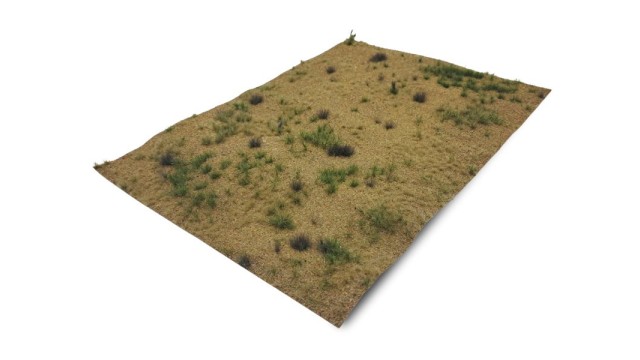 Desert - type 2 (Medium)